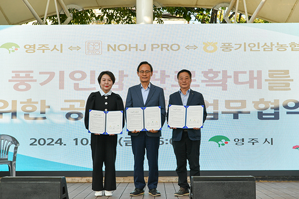 지난 11일 풍기인삼축제장에서 풍기인삼농협과 NOHJPRO 및 영주시는 인삼 산업 발전을 위한 업무협약을 체결했다.