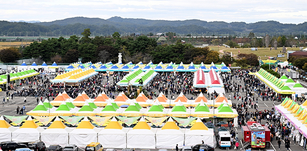 제19회 파주개성인삼축제장